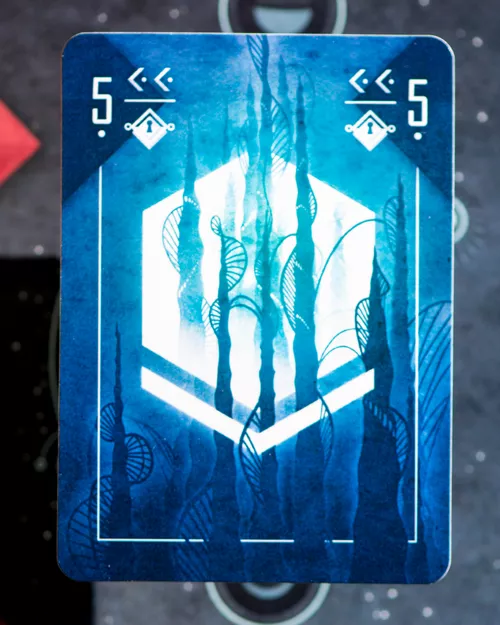 Test et avis sur le jeu SHAMANS carte 1